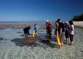 Hotel Lady Elliot Island Eco Resort